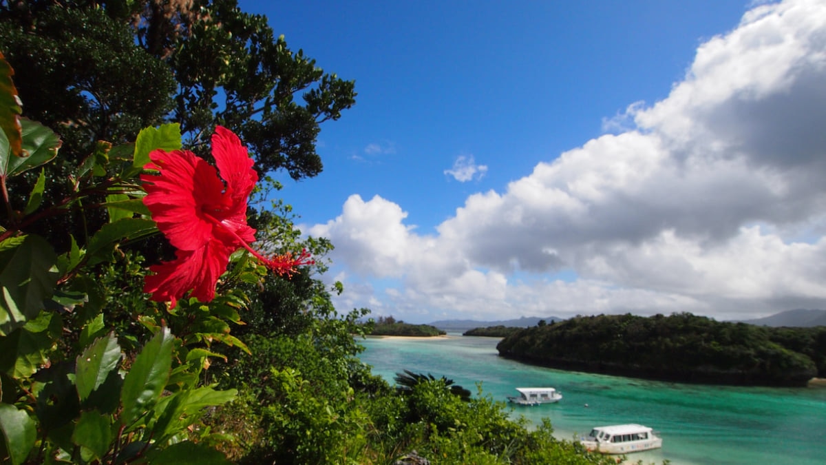 石垣島 絶景カフェ選 Sns映えスポット満載 Skyticket 観光ガイド