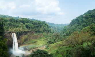 カメルーンのエコム滝