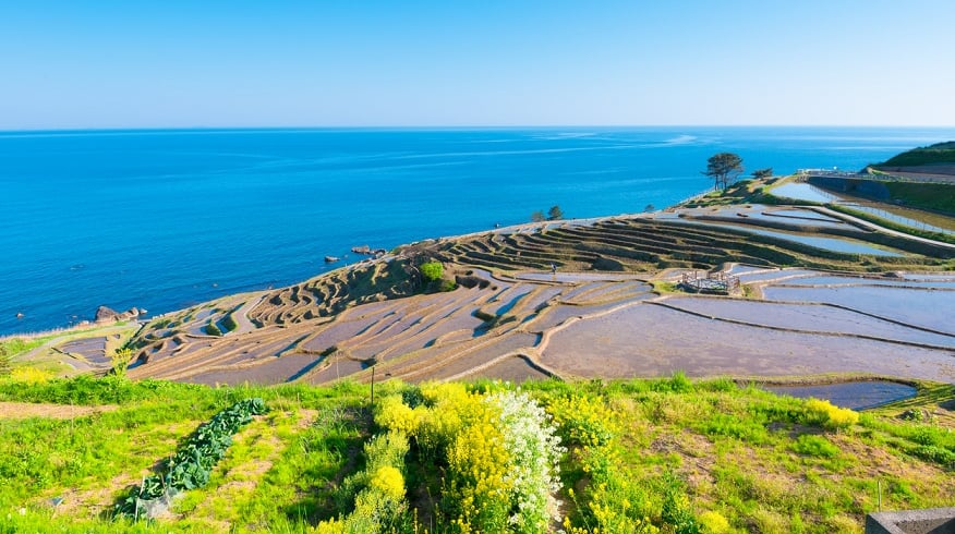 石川県の加賀と能登の文化と景色を巡るドライブコース4選！