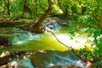 タンボクコラニ国立公園