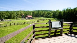 北海道　富良野