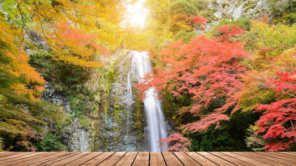 紅葉で有名な大阪・箕面周辺でおすすめのホテルを紹介！贅沢な温泉宿もアリ