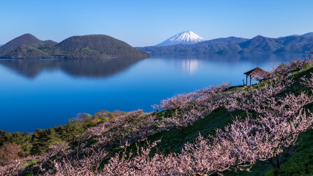 洞爺湖周辺の景観が美しい 素晴らしい自然を堪能できる洞爺湖観光 Skyticket 観光ガイド