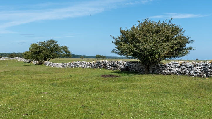不毛の地に残る古代文化の痕跡！世界遺産「エーランド島南部の農業景観」