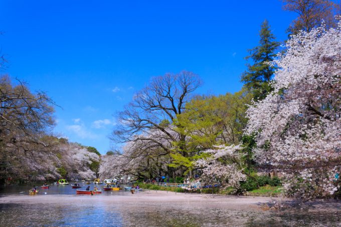 年 吉祥寺を満喫 最新おすすめ観光スポット一覧 Skyticket 観光ガイド