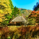 落人伝説に彩られる秘境「五家荘」の観光ガイド！独特の自然と文化を体験(画像は樅木吊橋休憩所の紅葉　【熊本県八代市五家荘】)