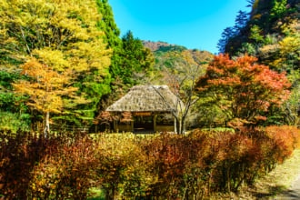 落人伝説に彩られる秘境「五家荘」の観光ガイド！独特の自然と文化を体験(画像は樅木吊橋休憩所の紅葉　【熊本県八代市五家荘】)