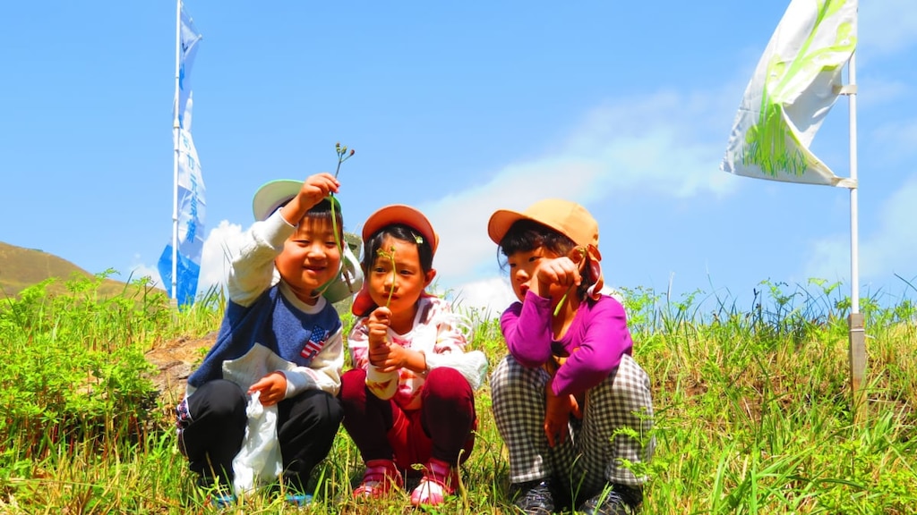 伊豆稲取・細野高原で春の山菜狩りイベントを4/11～開催！