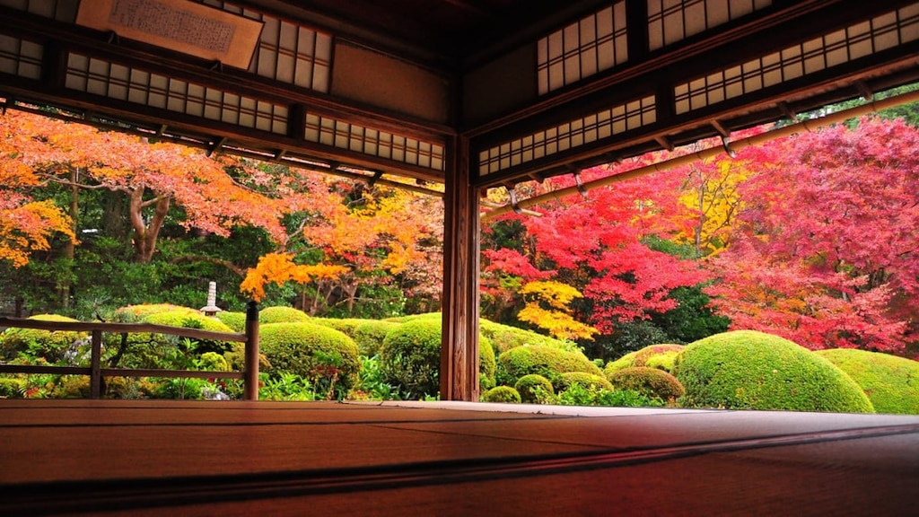 秋の京都・お寺の紅葉や夜景を貸し切りで堪能！密を避けた『秋の貸切プラン』