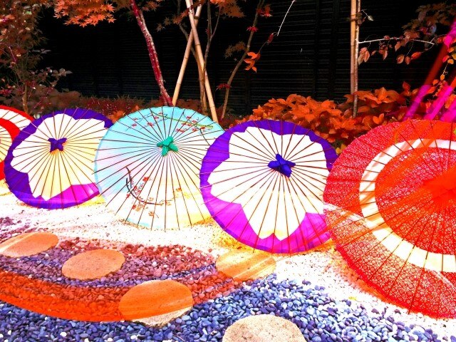 雨だって楽しんじゃう魅力あふれる京都を満喫する観光スポット5選