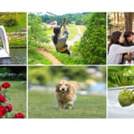 六甲山カンツリーハウス