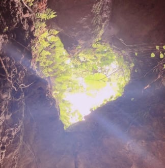 パワースポットとしても人気