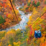 真っ赤な秋に囲まれよう