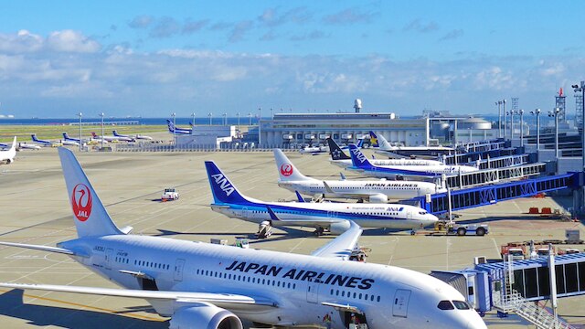 中部国際空港セントレア 駐車場料金が無料に 名古屋 新潟 ヒコーキならひとっ飛びキャンペーン を開催 Skyticket 観光ガイド