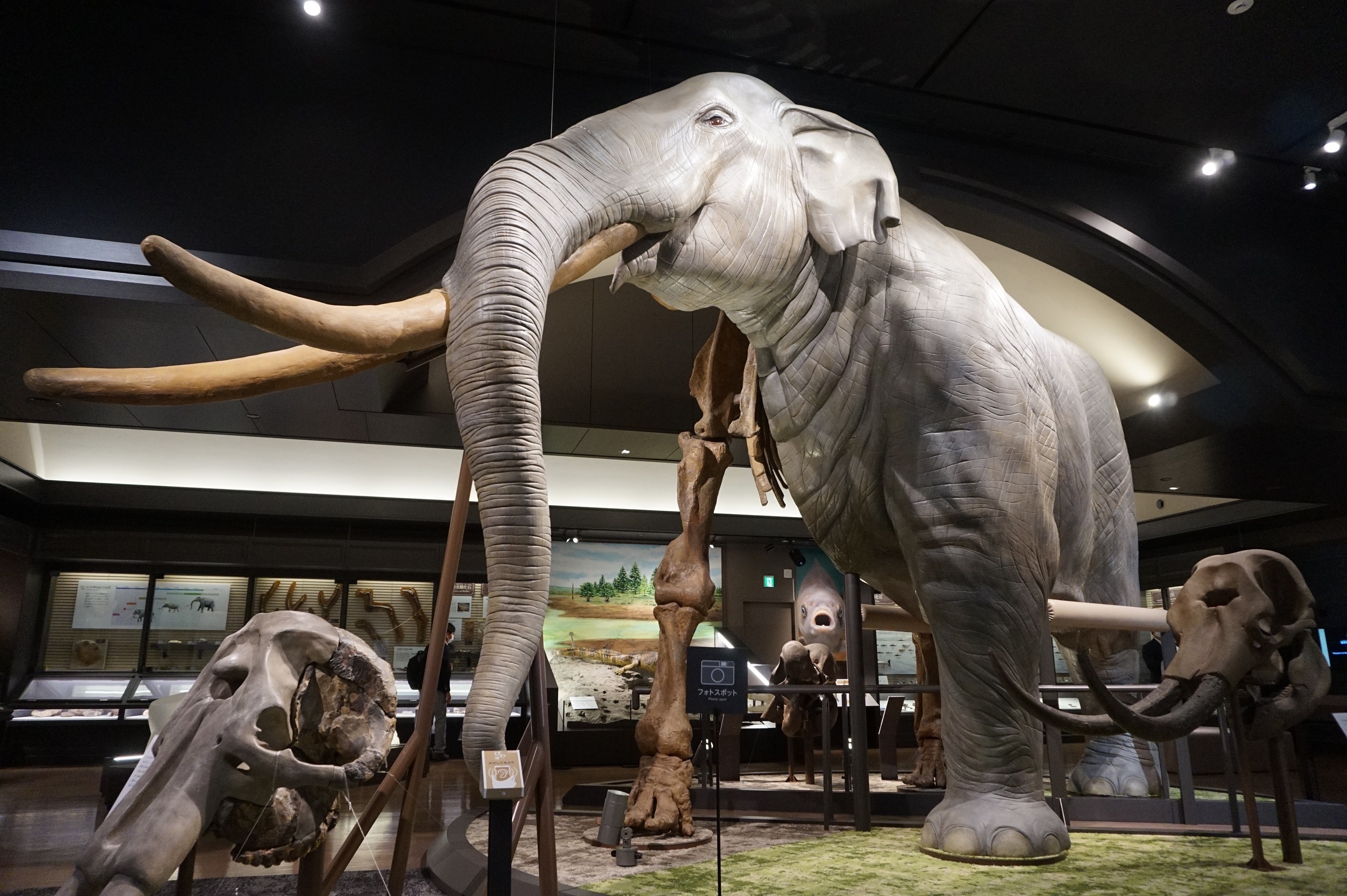 滋賀県立琵琶湖博物館が6年の時を経てリニューアル！巨大な半骨半身の
