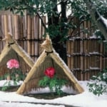 埼玉県の東松山市の東松山ぼたん園