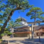 天下人を生んだ出世城！岡崎城の観光の見どころをわかりやすく解説します(画像は岡崎城)