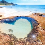 奄美大島のハートロックは見られたらラッキー