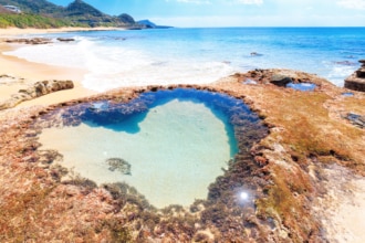 奄美大島のハートロックは見られたらラッキー