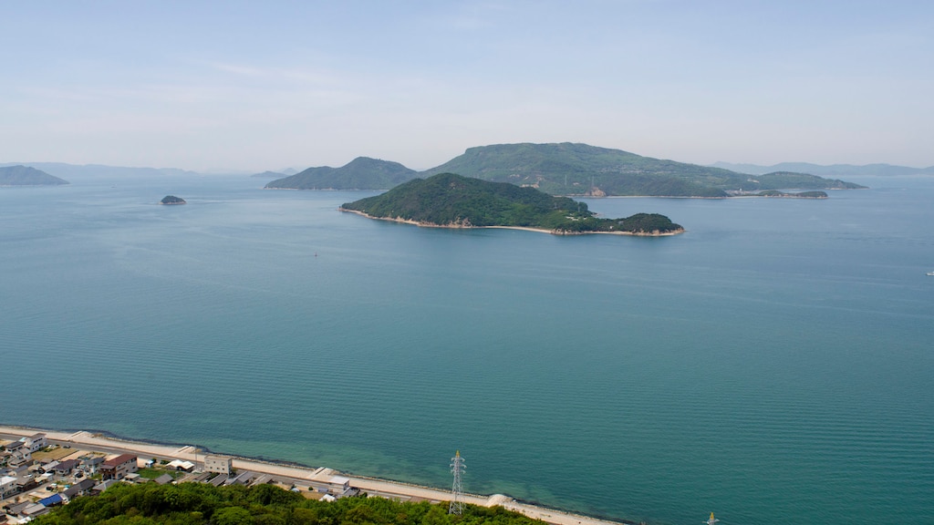 人よりもブランド牛の方が多い！？人口約10人の静かな島「小豊島」