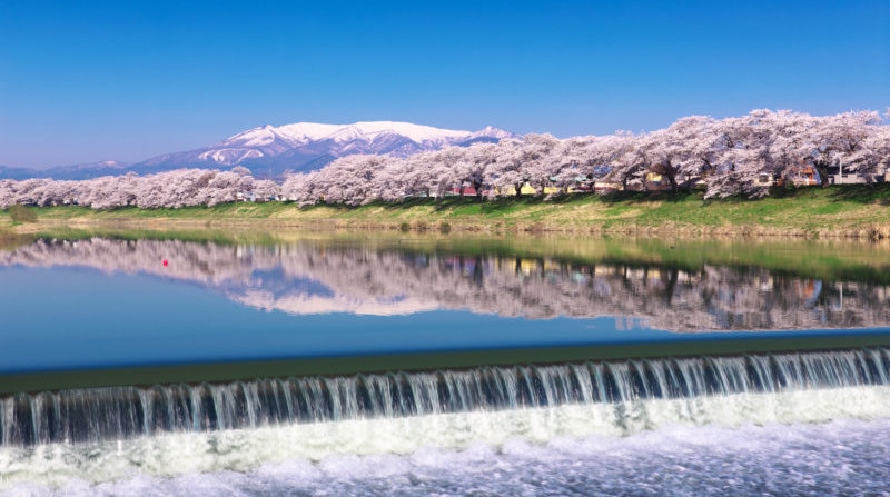 春には欠かせないお花見を満喫！宮城県の桜名所おすすめ4選