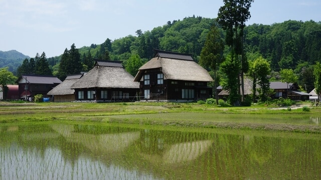 白鳥が飛来する柏崎市にあふれる老舗の味！お土産を買うならこのお店！