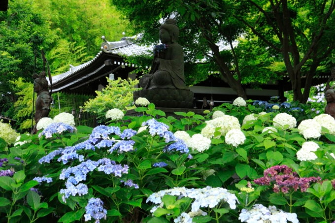 長谷寺