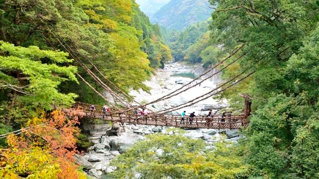 民族舞踊に日本酒祭りに妖怪祭りまで！徳島県三好市のお祭り4選