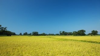 にかほ市　象潟　九十九島