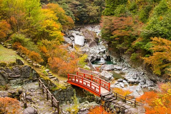 自然多い場所には楽しいお祭りがある！高知県仁淀川町のお祭り3選