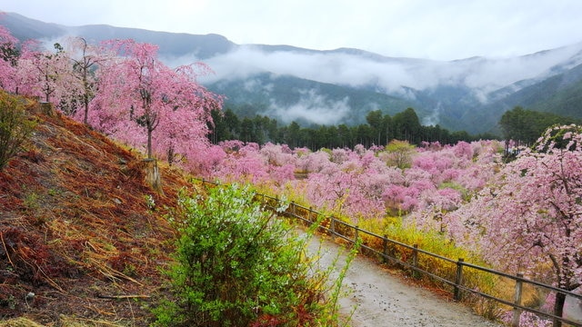 自然をそのまま生かした観光地が魅力。東吉野村の8つのスポット