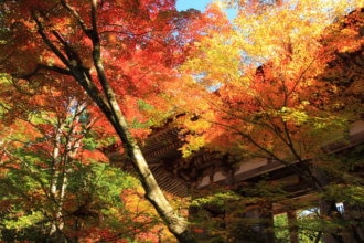 湖東三山　西明寺