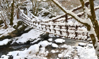 雪の 奥祖谷二重かずら橋（冬の徳島県）