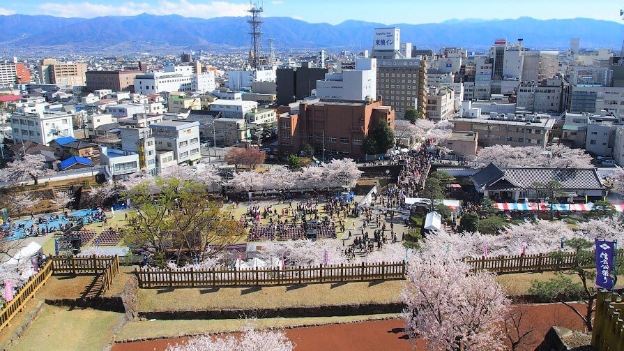 これは見逃せない！歴史に彩られた山梨県甲府市のオススメお祭り4選をご紹介