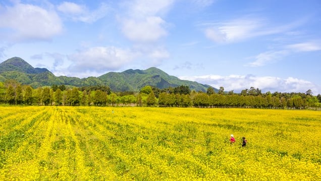 歴史を感じる町、岩手県矢巾町のおすすめ観光スポット5選