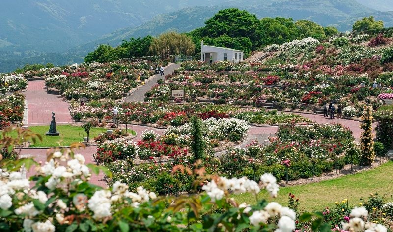 鹿児島県東部、大隅半島のバリエーション豊かなデートスポット5選