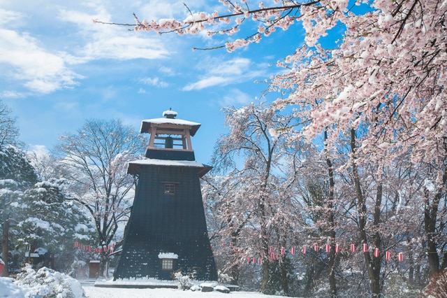 群馬で数多くある桜名所の中でも特にオススメのスポット4選