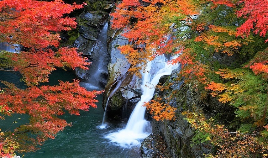 紅葉が美しいことで有名な町！徳島県那賀町でおすすめのお祭りをご紹介