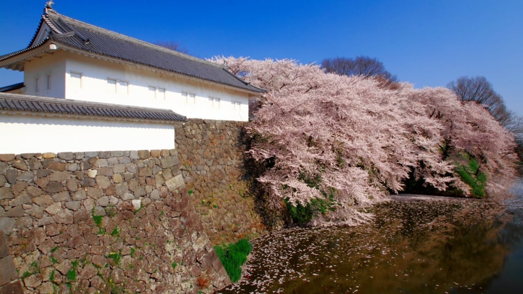 山形の英雄最上義光が築いた巨城！霞城公園の観光の見どころを徹底ガイド