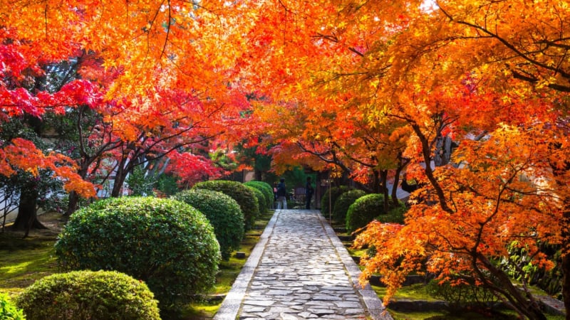 歴史の趣き深い一休さんゆかりの地、京田辺市のおすすめ観光スポット6選