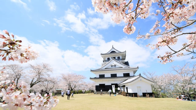 四季折々の花に彩られた館山で自然を満喫しよう 人気観光スポット7選 Skyticket 観光ガイド