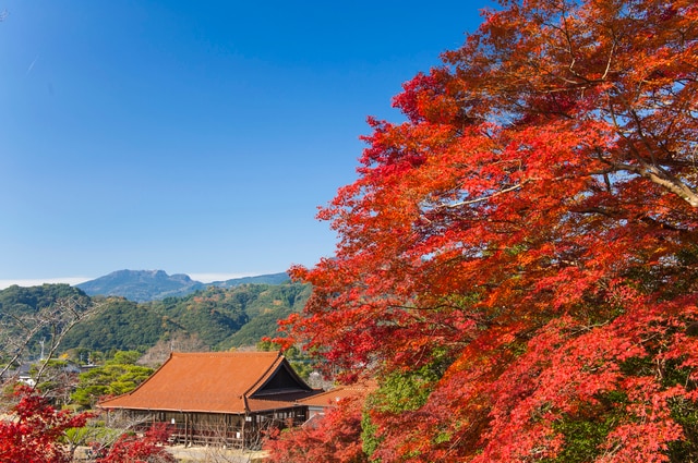 四季彩豊かで文武両道な町！佐賀県多久の観光スポット4選 skyticket 観光ガイド