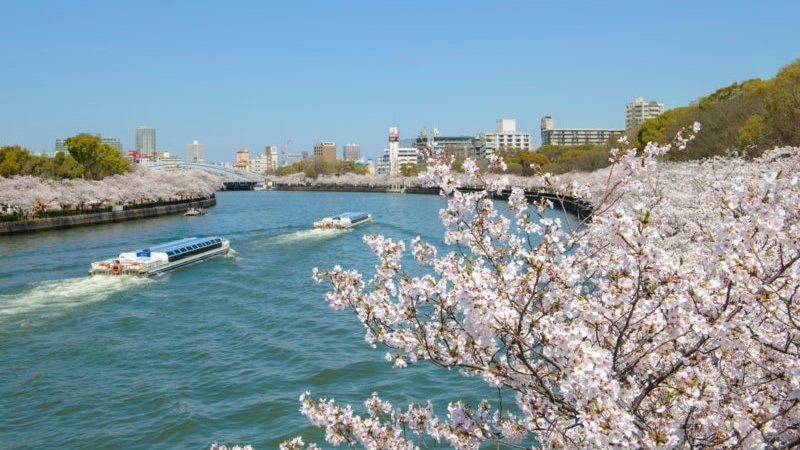 水の都・大阪を代表する桜の名所＆穴場スポット5選！　