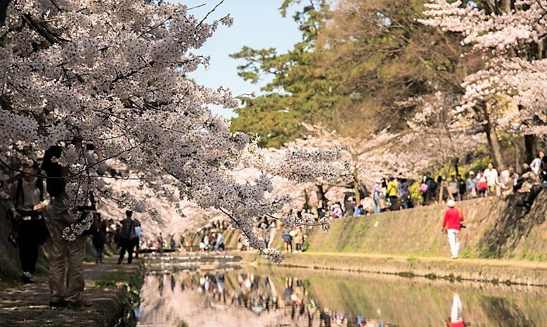 住みたい街に選ばれる西宮市の参加型の素敵なお祭り4つをご紹介！