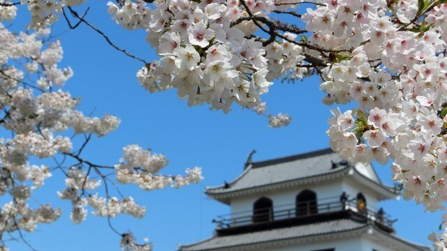 桜から紅葉、さらにはロケットまで！宮城の絶景スポット7選