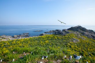 種差海岸（八戸）