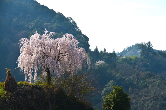 徳島県つるぎ町ってどんなところ？おすすめ観光スポット4選