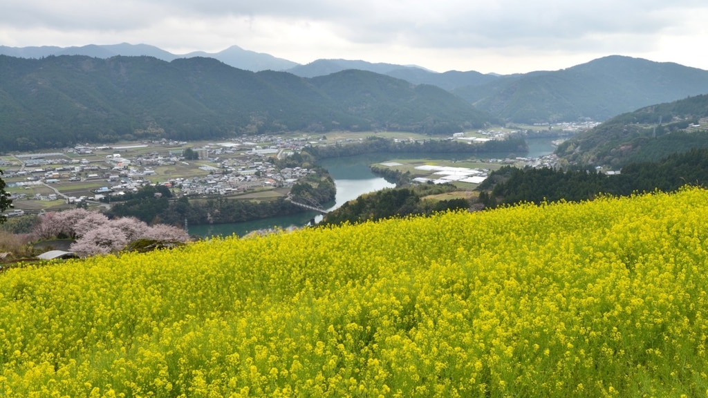 土佐山田駅周辺の人気スポット10選 観光もグルメも大満足の旅をしよう！