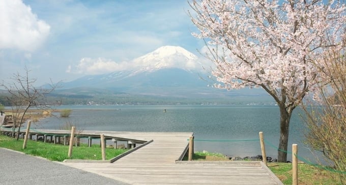 山中湖村の観光スポット8選をご紹介 山中湖で遊ぶならここがおすすめ Skyticket 観光ガイド