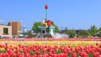 砺波チューリップ公園